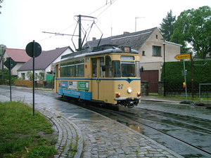 wolt11690.jpg