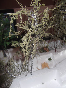 DSCF0438.JPG