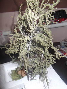 DSCF0439.JPG