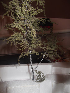 DSCF0441.JPG