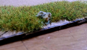20160615_141929.jpg