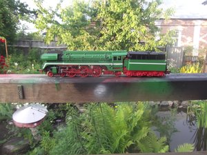 DSCF0580.JPG