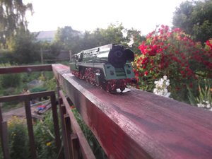 DSCF0583.JPG