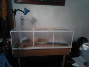 IMG_20160615_225136.jpg