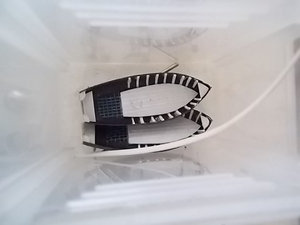 DSCF0106.jpg