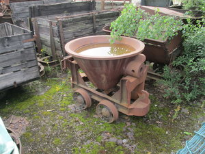 IMG_3120.JPG