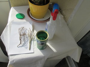 IMG_3217.JPG