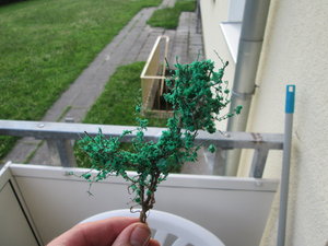 IMG_3221.JPG