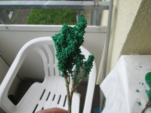 IMG_3225.JPG