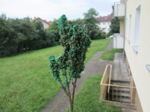 IMG_3227.JPG