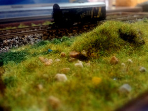 20160704_095529.jpg