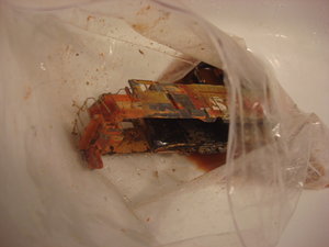 DSC09835.JPG