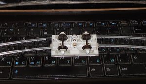 DSCN8881.JPG