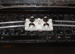 DSCN8885.JPG