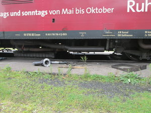 IMG_3866.JPG
