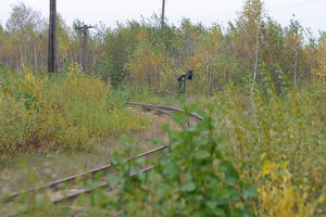 IMG_4136.JPG