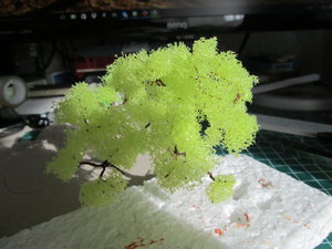 IMG_4854.JPG