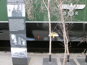 IMG_3963.JPG