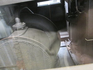 IMG_4017.JPG