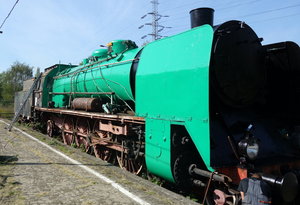 Pu29.JPG