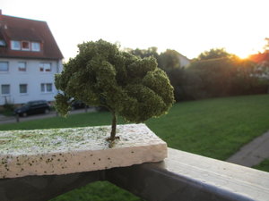 IMG_4859.JPG