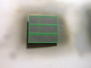 DSCN2617.jpg