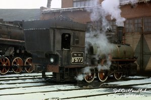 154992101.jpg