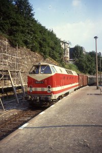 U-Boot_Deutsche_Reichsbahn_119_013-1_at_Lauscha,_August_1991 (1).jpg