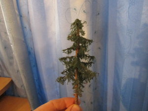 IMG_5286.JPG