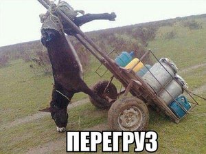 vxwQJPZcAK8.jpg