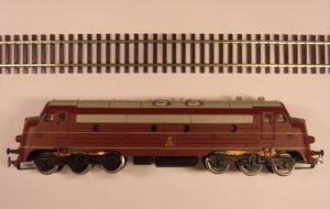 GEDC2025q.jpg