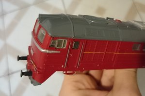 DSC_0905.JPG
