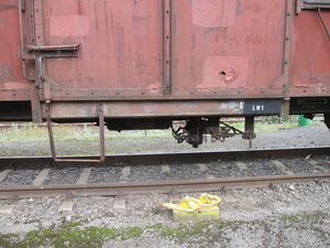 IMG_4132.JPG