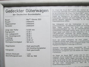 IMG_4135.JPG