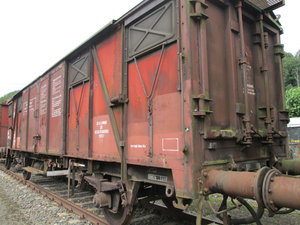 IMG_4159.JPG