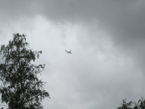 IMG_4142.JPG