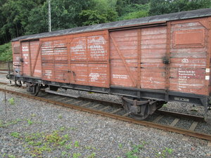 IMG_4186.JPG