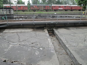 IMG_4237.JPG