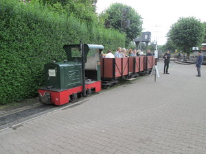 IMG_4242.JPG