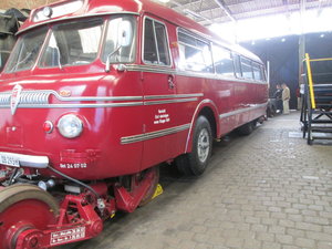 IMG_4248.JPG