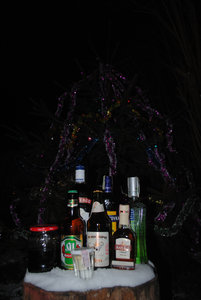 DSC_8743.JPG