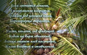 Поздравление с 2017 годом.jpg