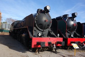DSC05290.jpg