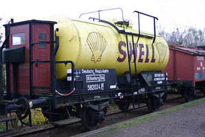 Kes shel 2.jpg