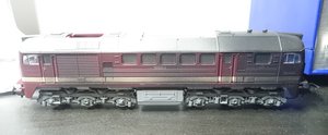 DSC_1021.JPG