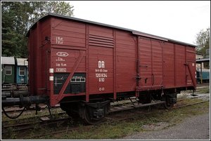 g10 2.jpg