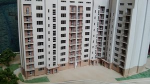 20170311_153138.jpg