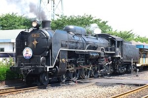 66.jpg