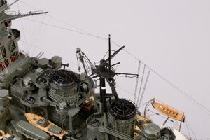 IB7A3481.jpg