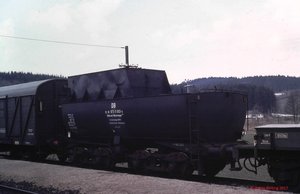 419.jpg